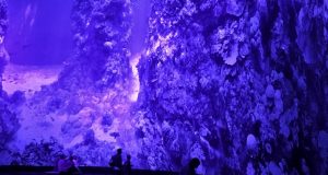 Yadegar Asisi Leipzig Panorama Müzesi: Sanatla İç İçe Eşsiz Bir Deneyim yadegar asisi panorama müzesi