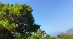 Phaselis Antik Kenti: Tarihle Denizin Buluştuğu Cennet