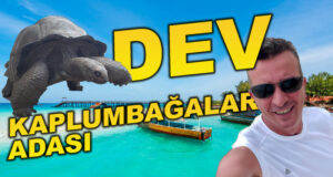 Dev Kaplumbağalar Adası Zanzibar Prison Island dev kaplumbağalar adası