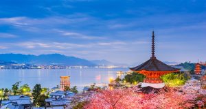 Sakura Zamanı Japonya (2026): Kiraz Çiçekleri Festivali, En İyi İzleme Rotaları ve Seyahat Tüyoları sakura festivali japonya