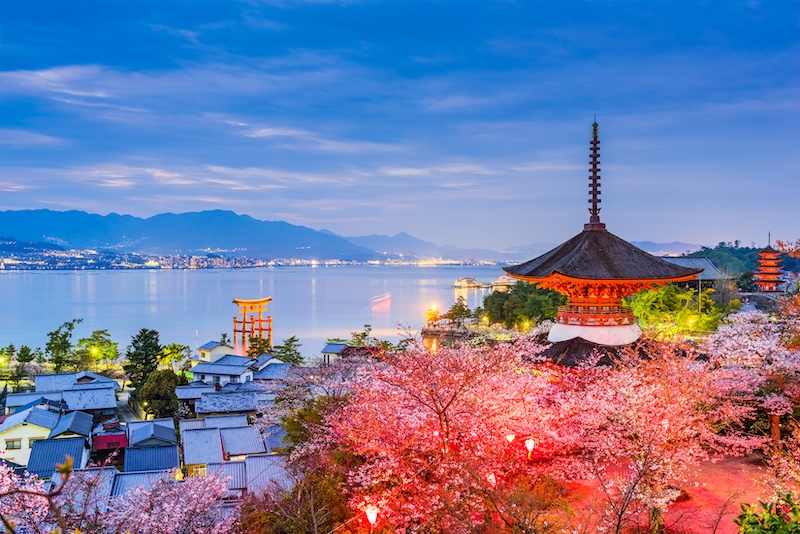 Kyoto’daki sakura ağaçlarının altındaki geleneksel festival görüntüleri